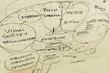 Draw Your Own Brain (Team) Workshop