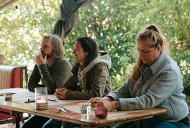 Draw Your Own Brain (Team) Workshop